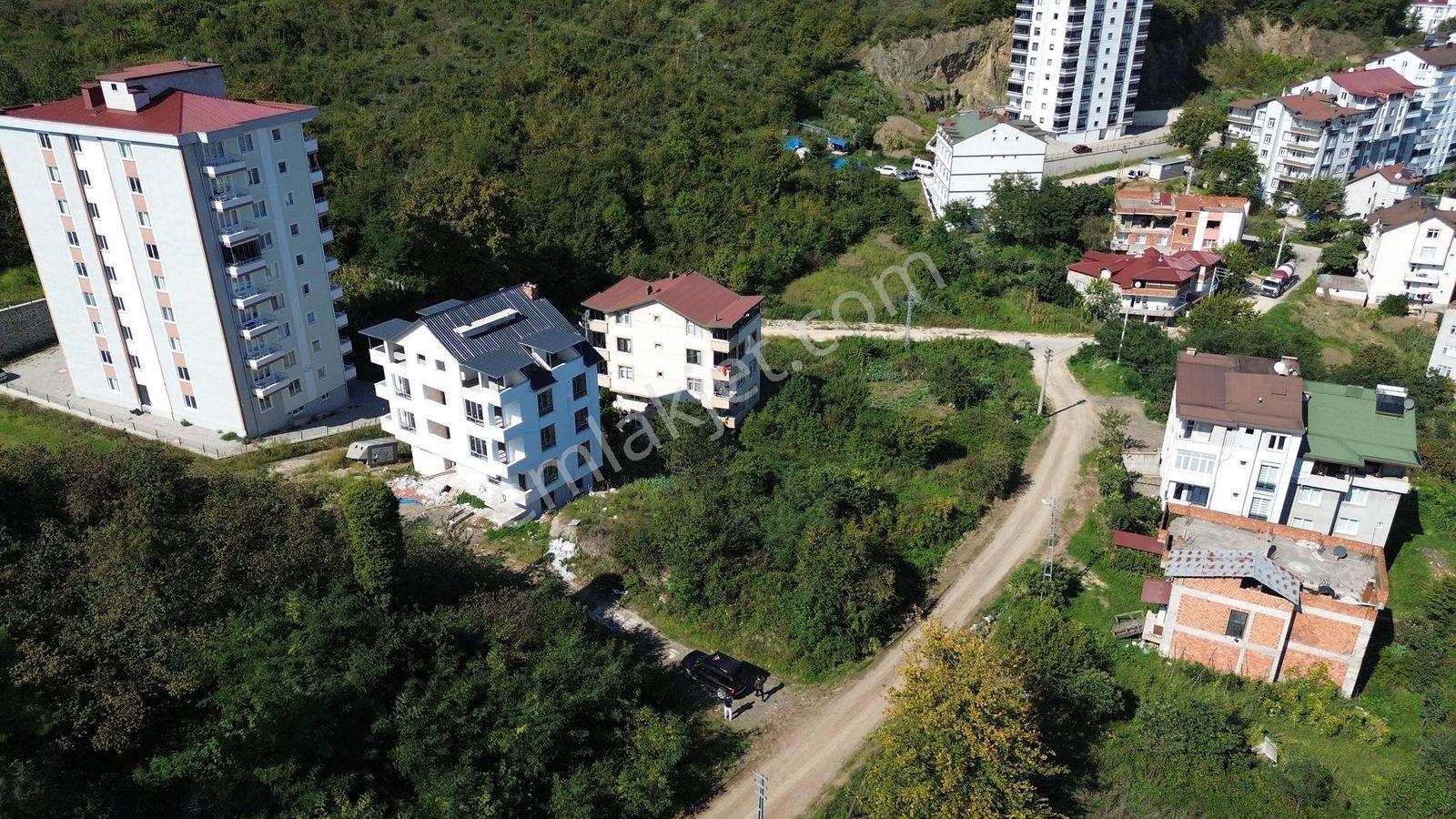 Z Grup Fatsa Kurtuluş Mah Deniz Manzaralı Köşe Başı Arsa