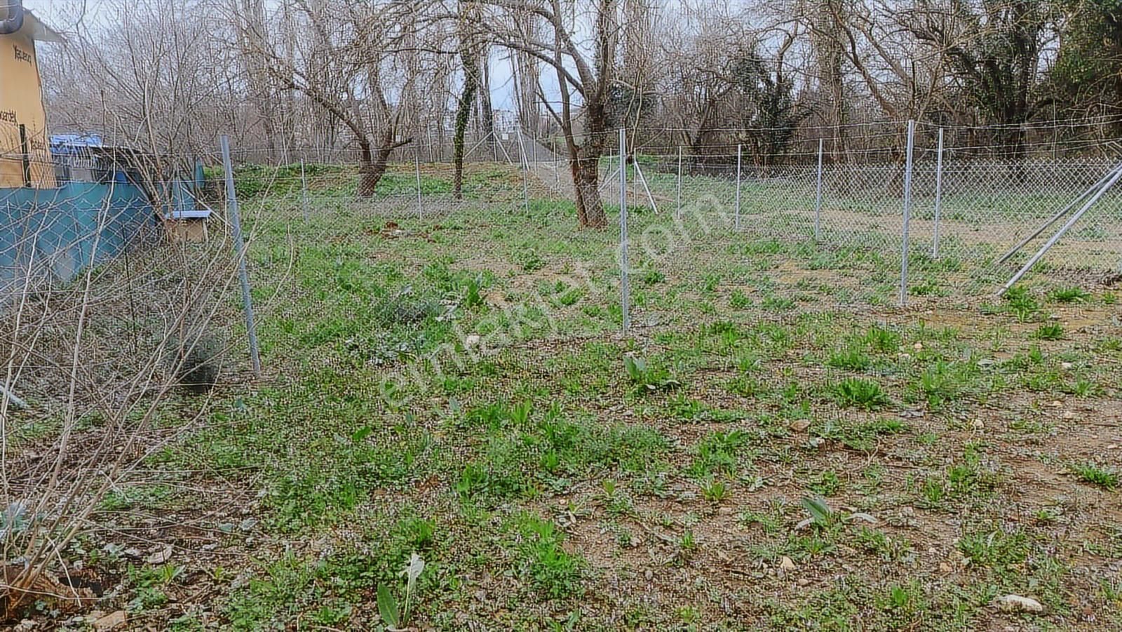 Bursa Nilüfer Kayapa Da 166 M2 Hobi Bahçesi - Görsel 10