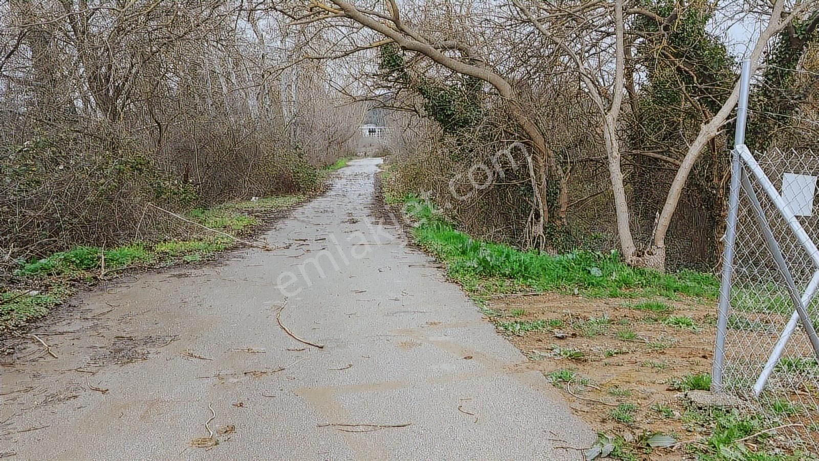 Bursa Nilüfer Kayapa Da 166 M2 Hobi Bahçesi - Görsel 17