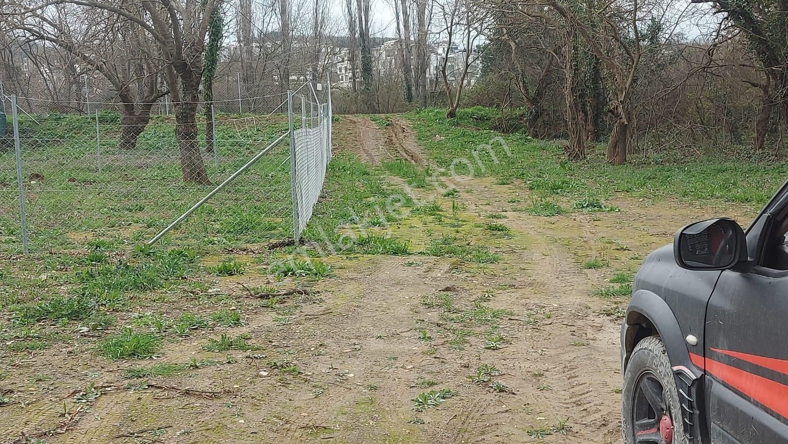 Bursa Nilüfer Kayapa Da 166 M2 Hobi Bahçesi - Görsel 14