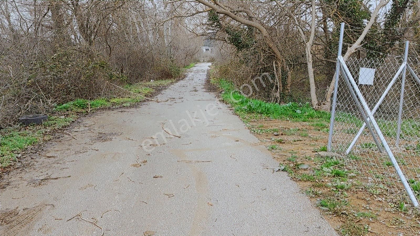 Bursa Nilüfer Kayapa Da 166 M2 Hobi Bahçesi - Görsel 13