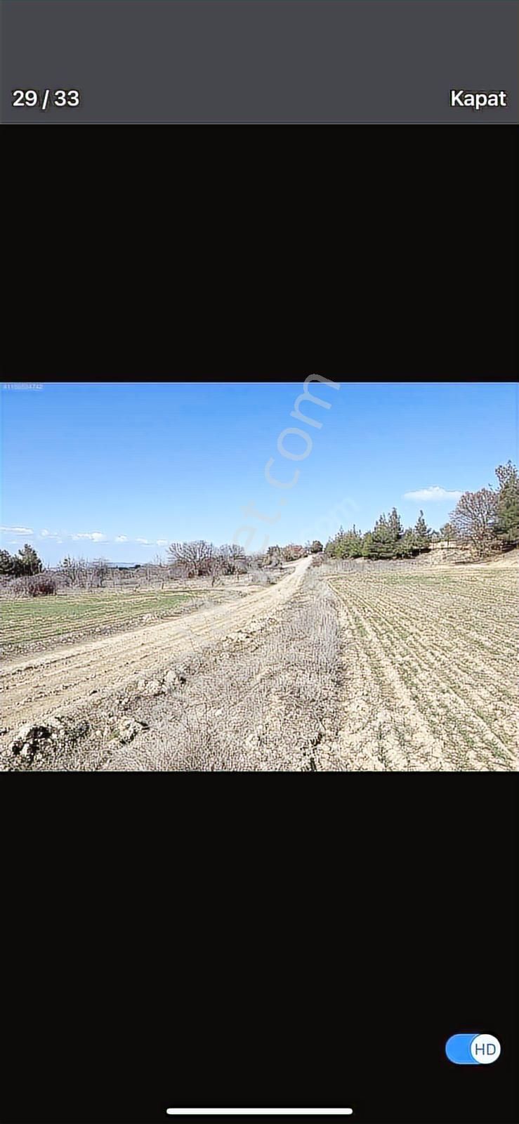 6624 Mt Arazi.yolu Var .yüzlerce Çam Ağacı Var. - Görsel 13