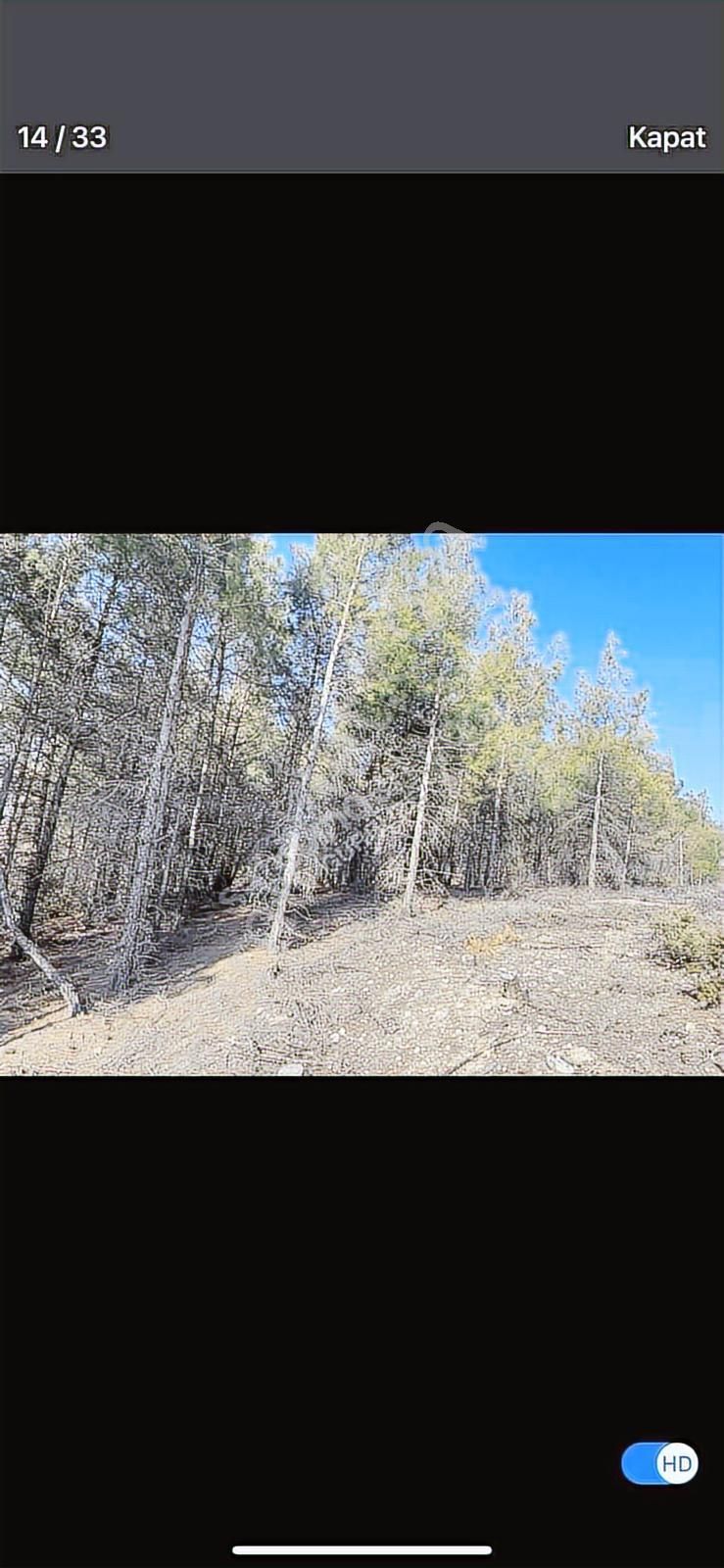 6624 Mt Arazi.yolu Var .yüzlerce Çam Ağacı Var. - Görsel 5