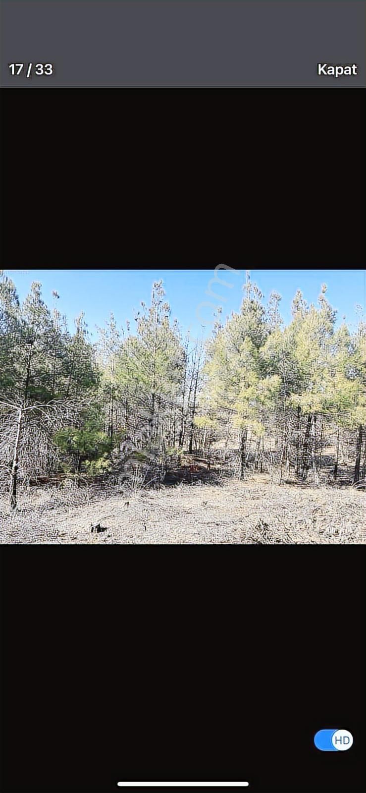 6624 Mt Arazi.yolu Var .yüzlerce Çam Ağacı Var. - Görsel 17