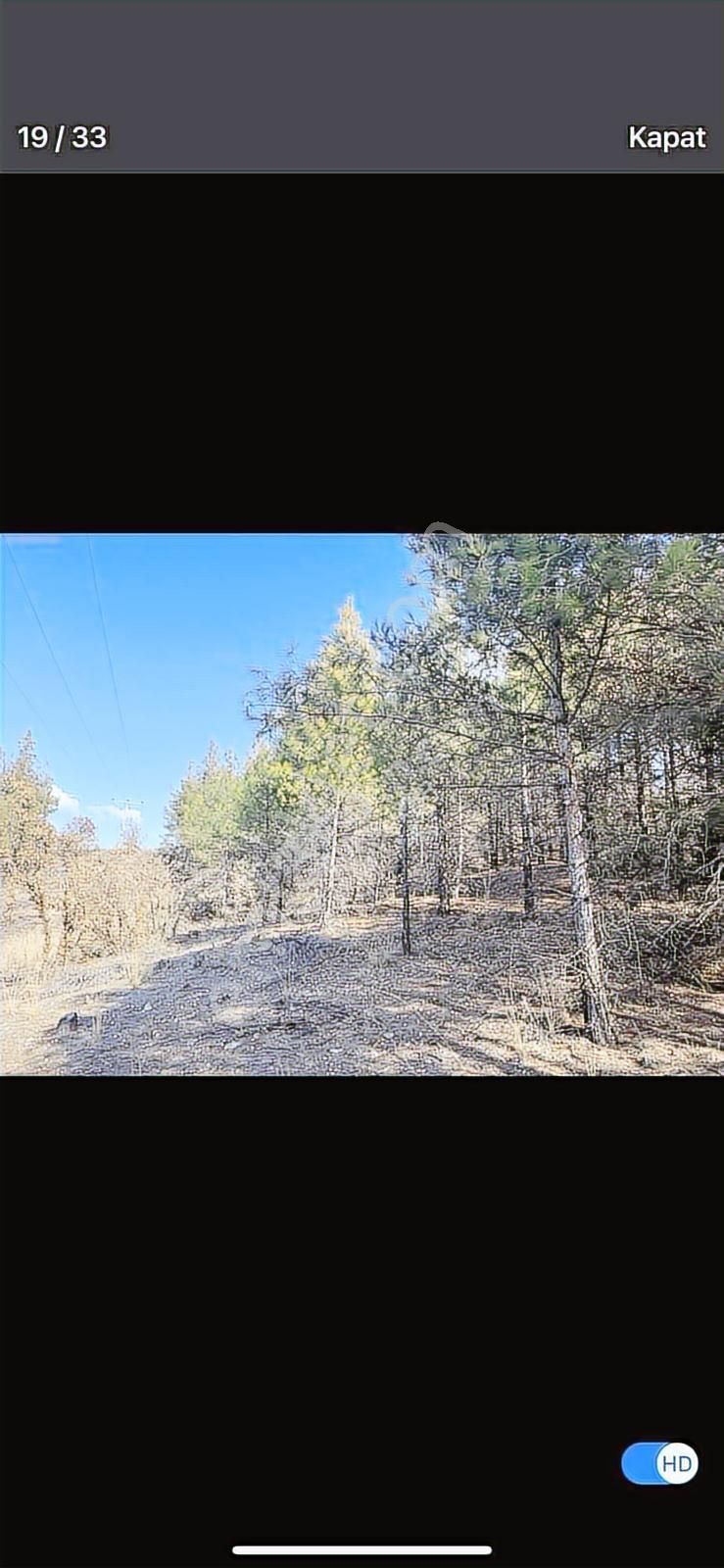 6624 Mt Arazi.yolu Var .yüzlerce Çam Ağacı Var. - Görsel 10