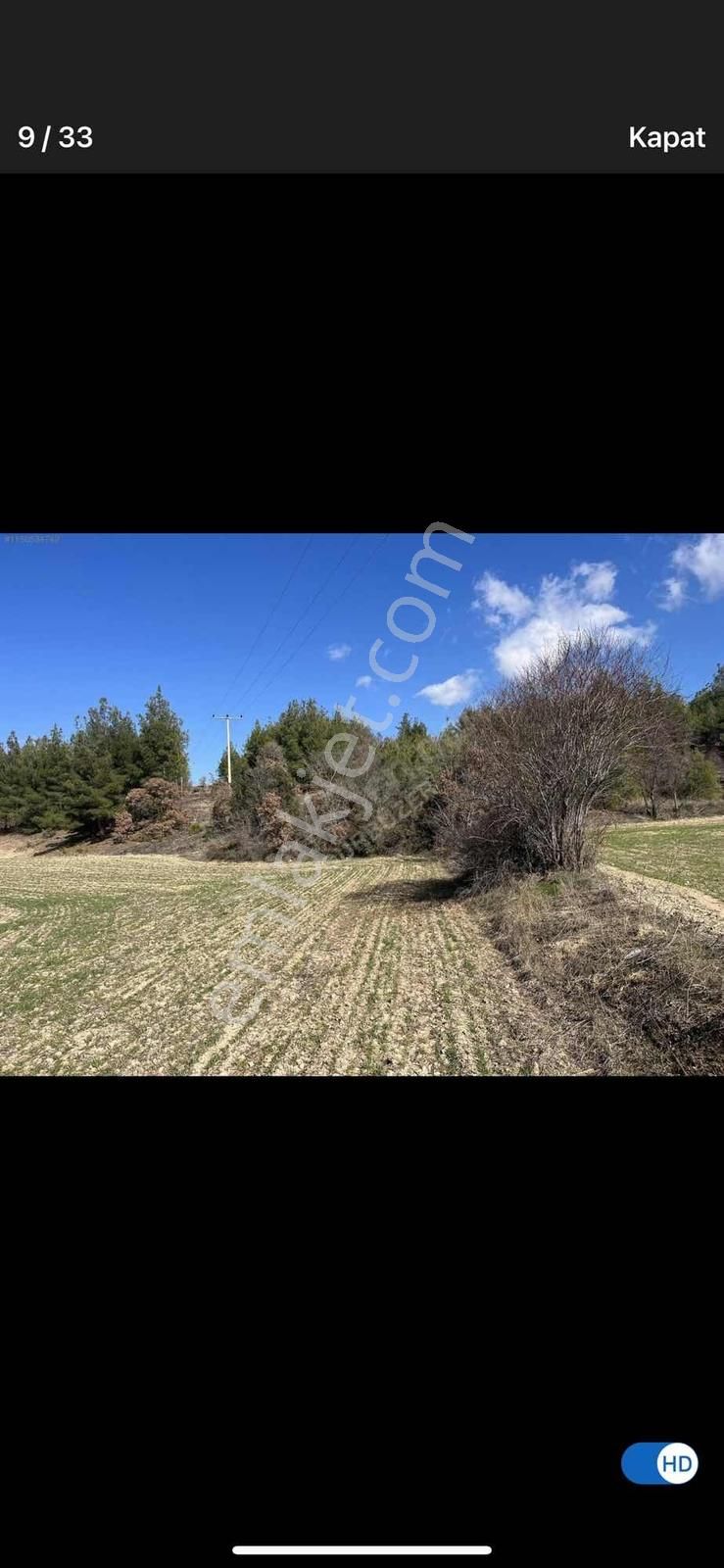 6624 Mt Arazi.yolu Var .yüzlerce Çam Ağacı Var. - Görsel 4