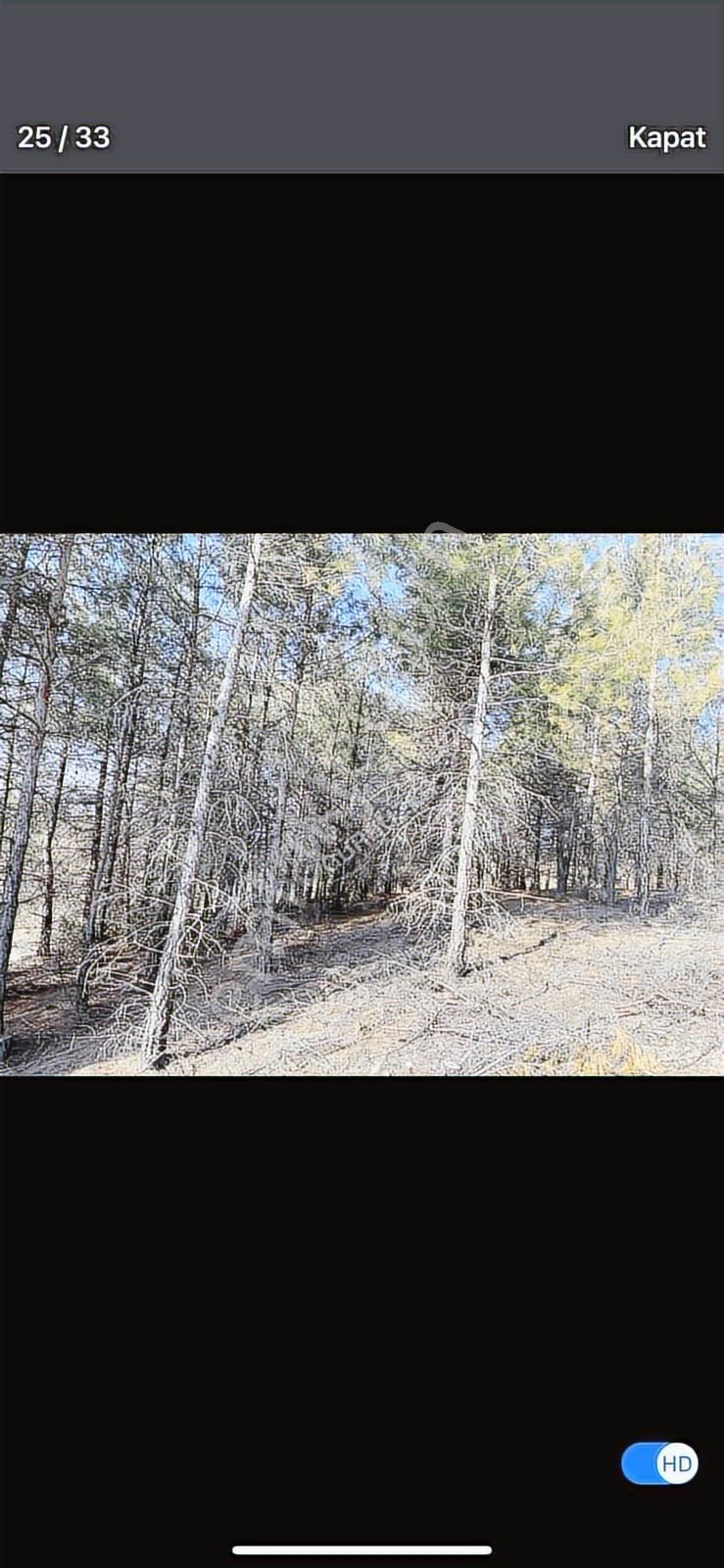 6624 Mt Arazi.yolu Var .yüzlerce Çam Ağacı Var. - Görsel 20