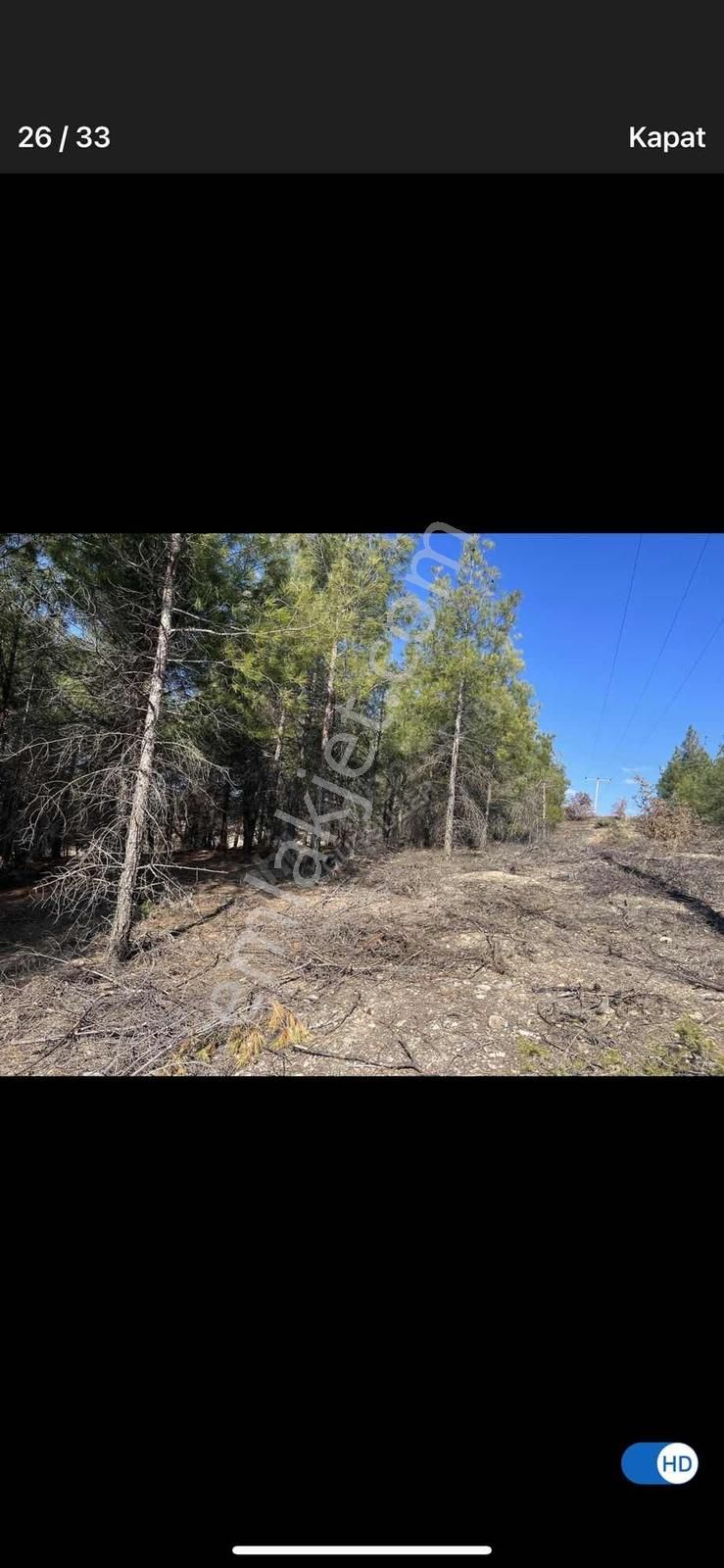 6624 Mt Arazi.yolu Var .yüzlerce Çam Ağacı Var. - Görsel 21