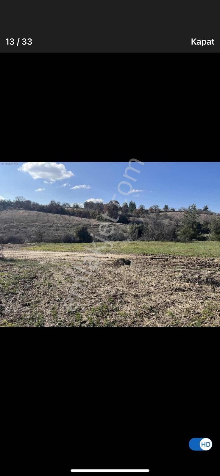 6624 Mt Arazi.yolu Var .yüzlerce Çam Ağacı Var. - Görsel 8