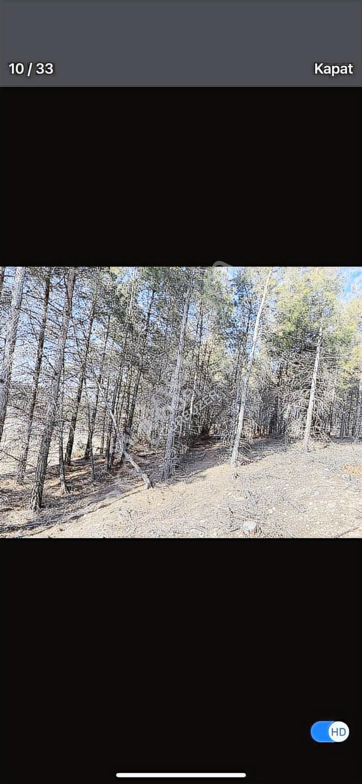6624 Mt Arazi.yolu Var .yüzlerce Çam Ağacı Var. - Görsel 28