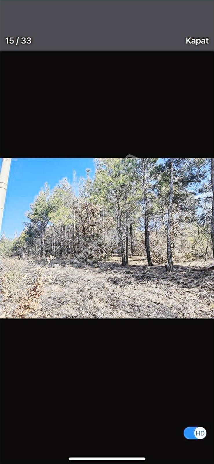 6624 Mt Arazi.yolu Var .yüzlerce Çam Ağacı Var. - Görsel 16