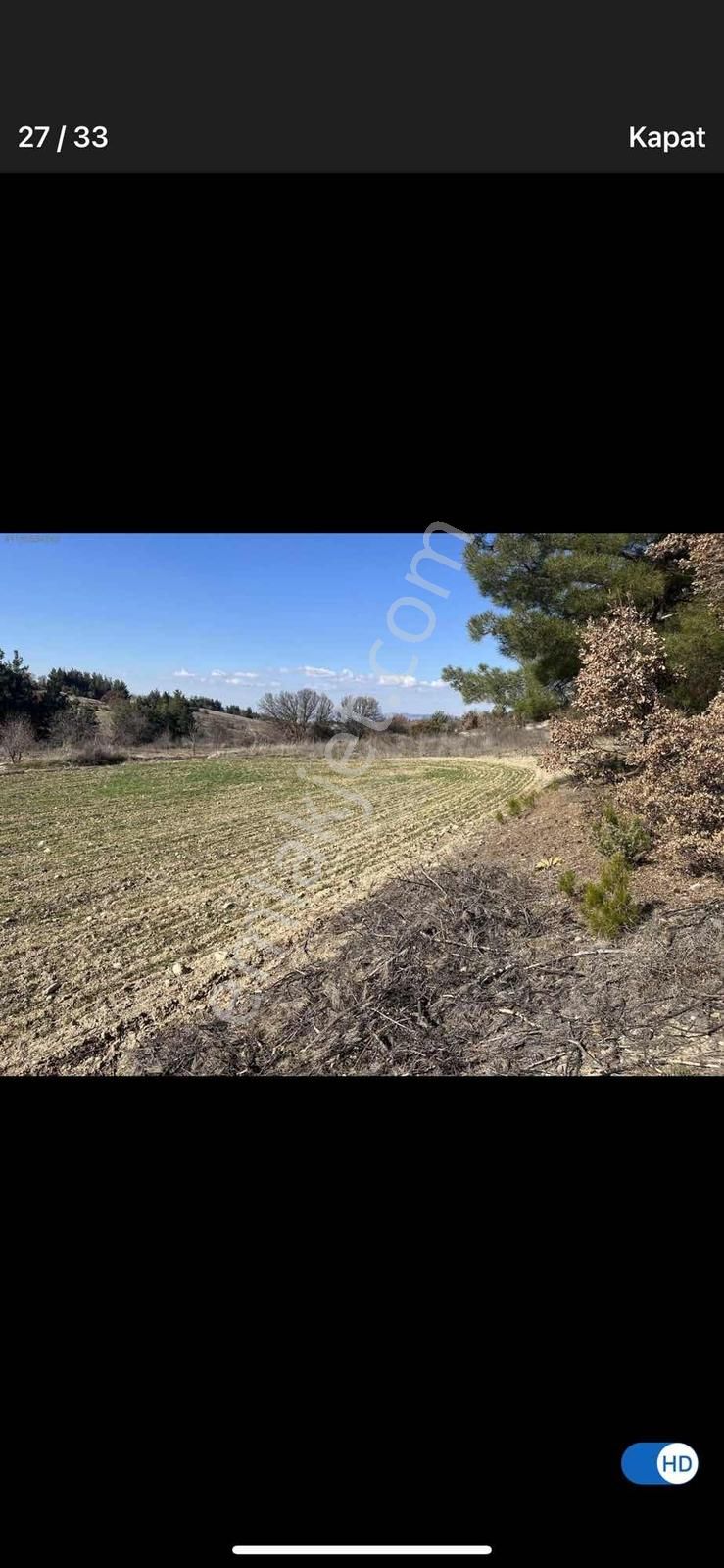 6624 Mt Arazi.yolu Var .yüzlerce Çam Ağacı Var. - Görsel 6