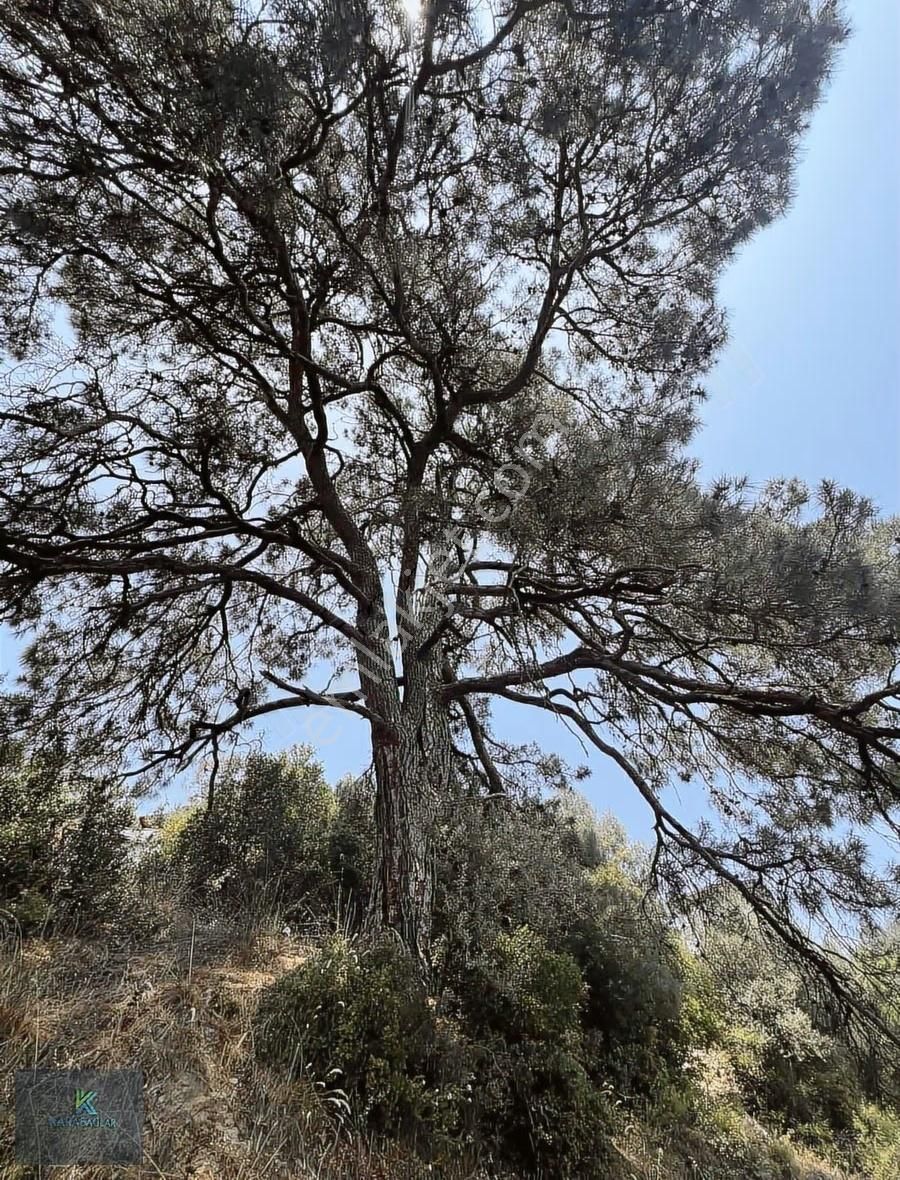 Seferihisar Gödencede İmarlı Arsa 300 M2 - Görsel 31