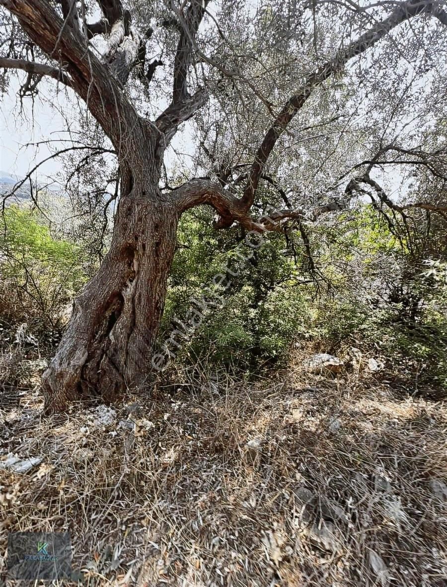 Seferihisar Gödencede İmarlı Arsa 300 M2 - Görsel 26