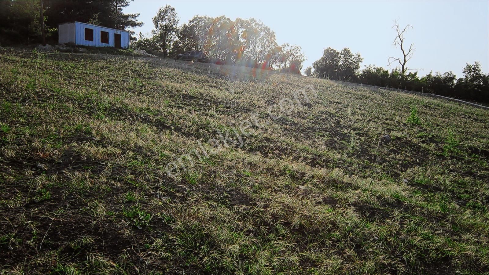 Bursa Nilüfer Tahtalıda Yola Cephe 3552 M2 Arazi - Görsel 22