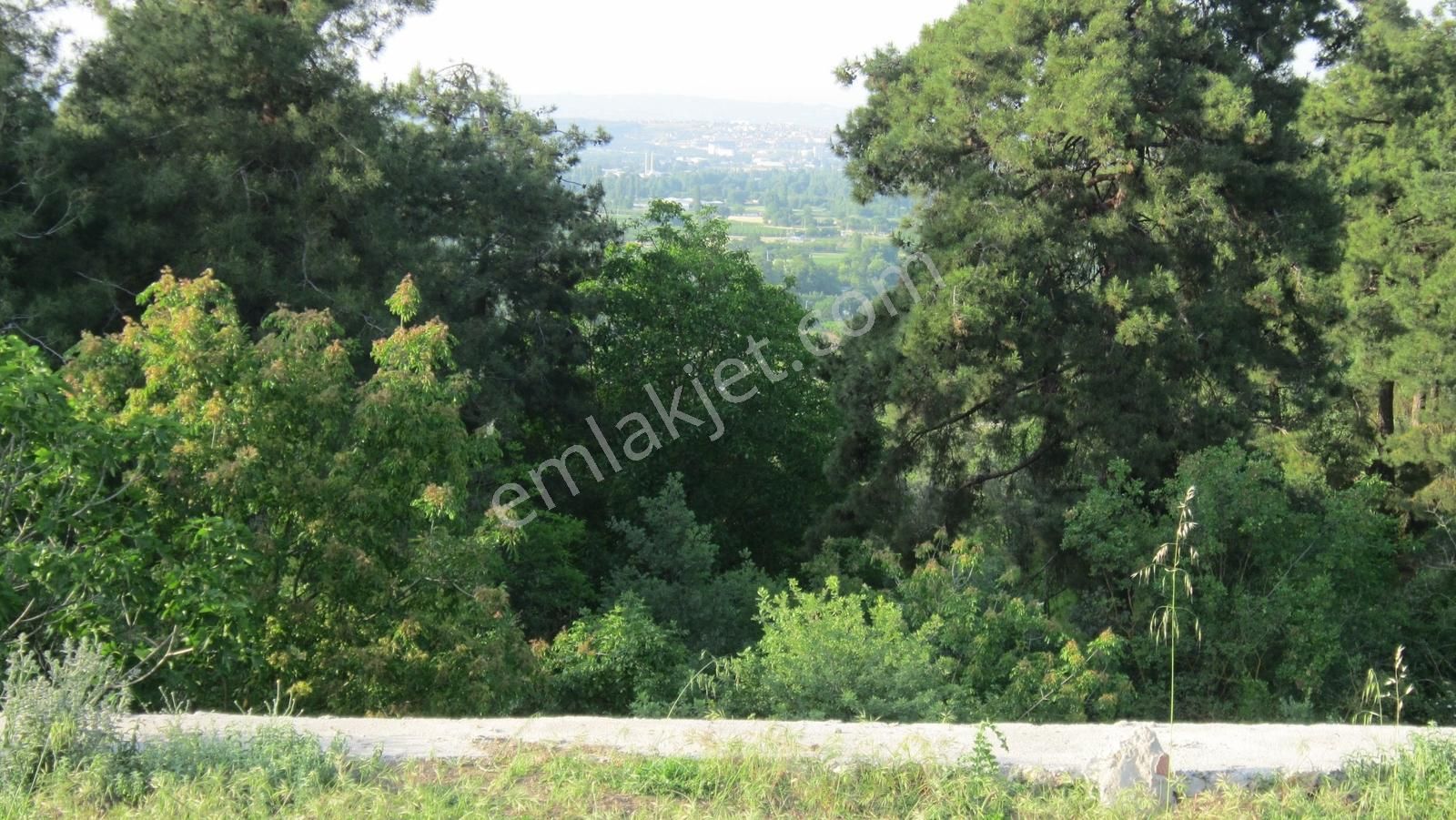 Bursa Nilüfer Tahtalıda Yola Cephe 3552 M2 Arazi - Görsel 26