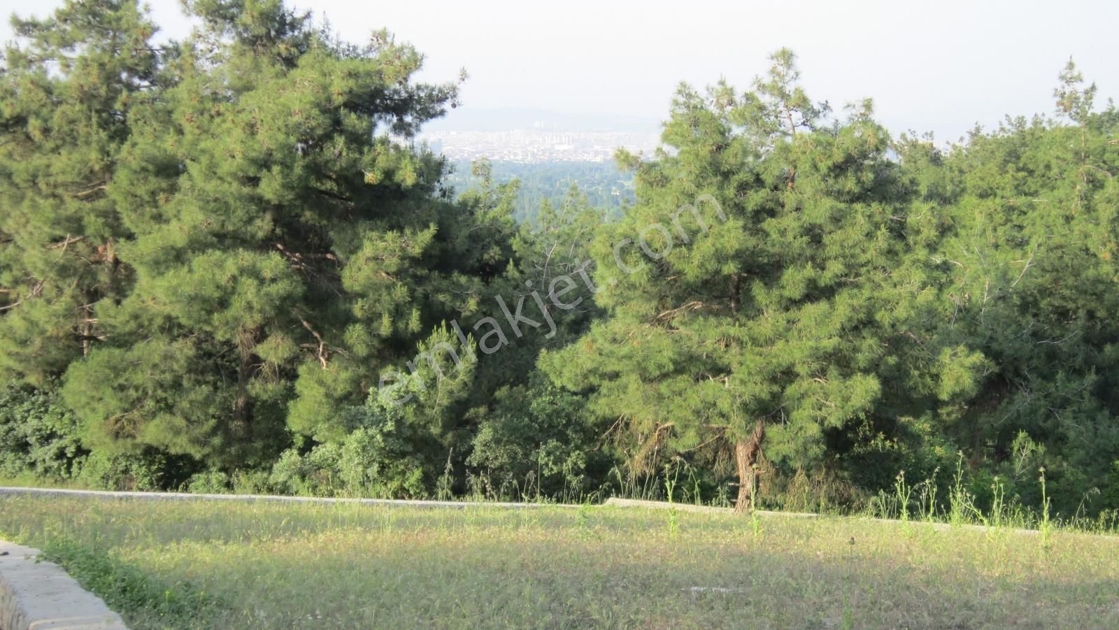 Bursa Nilüfer Tahtalıda Yola Cephe 3552 M2 Arazi - Görsel 11