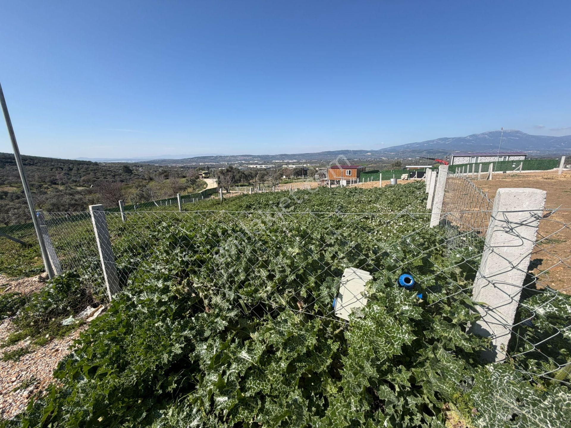 Çamlıca Yaşam Evlerinde Fırsat Tarla - Görsel 17