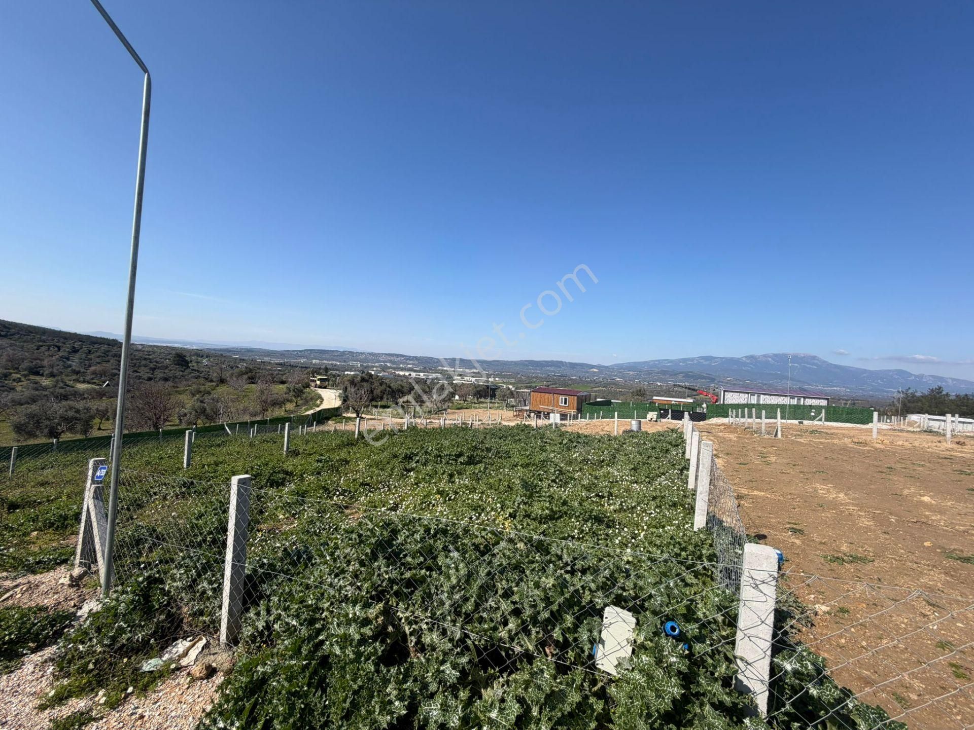 Çamlıca Yaşam Evlerinde Fırsat Tarla - Görsel 7