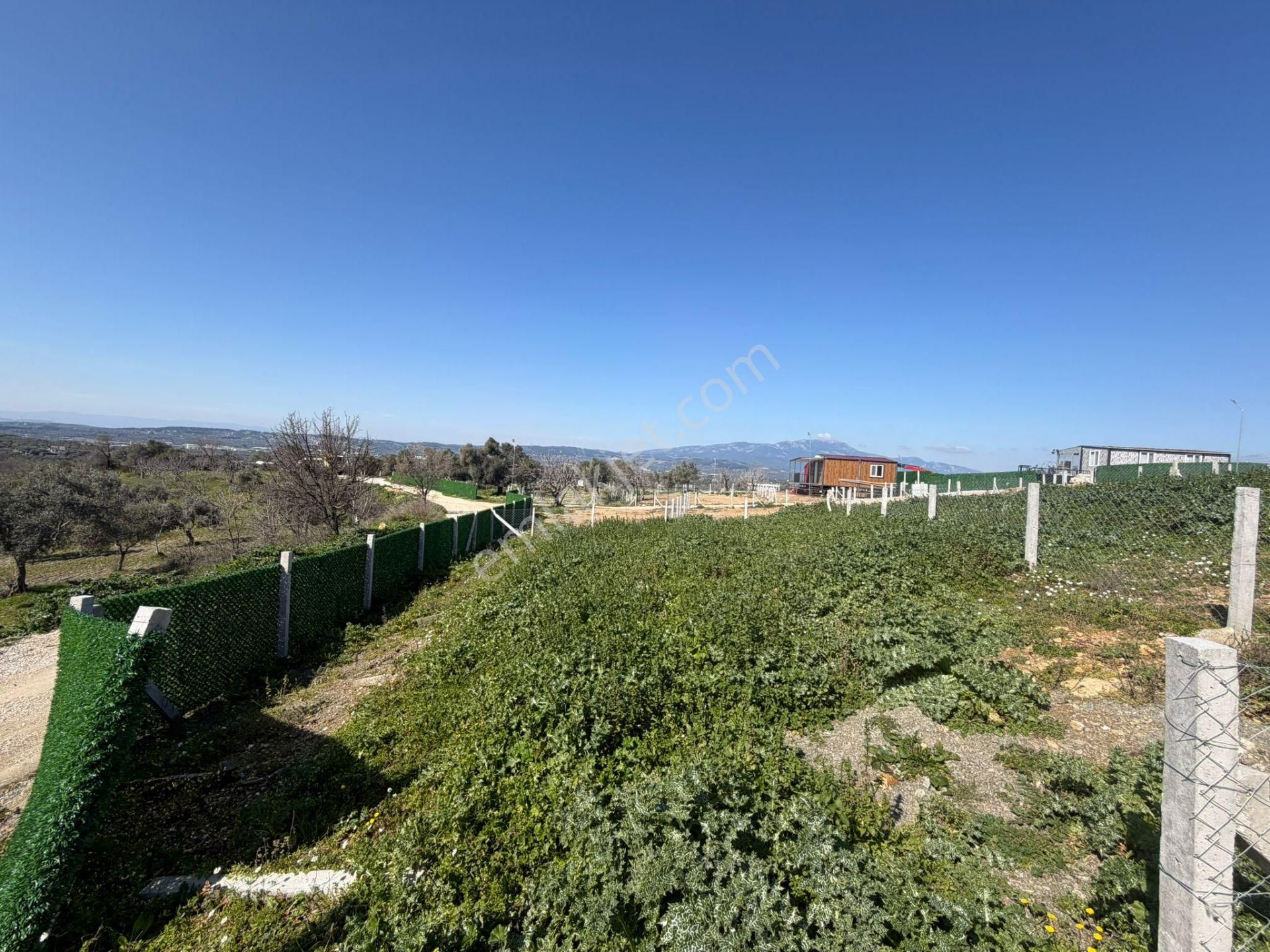 Çamlıca Yaşam Evlerinde Fırsat Tarla - Görsel 6