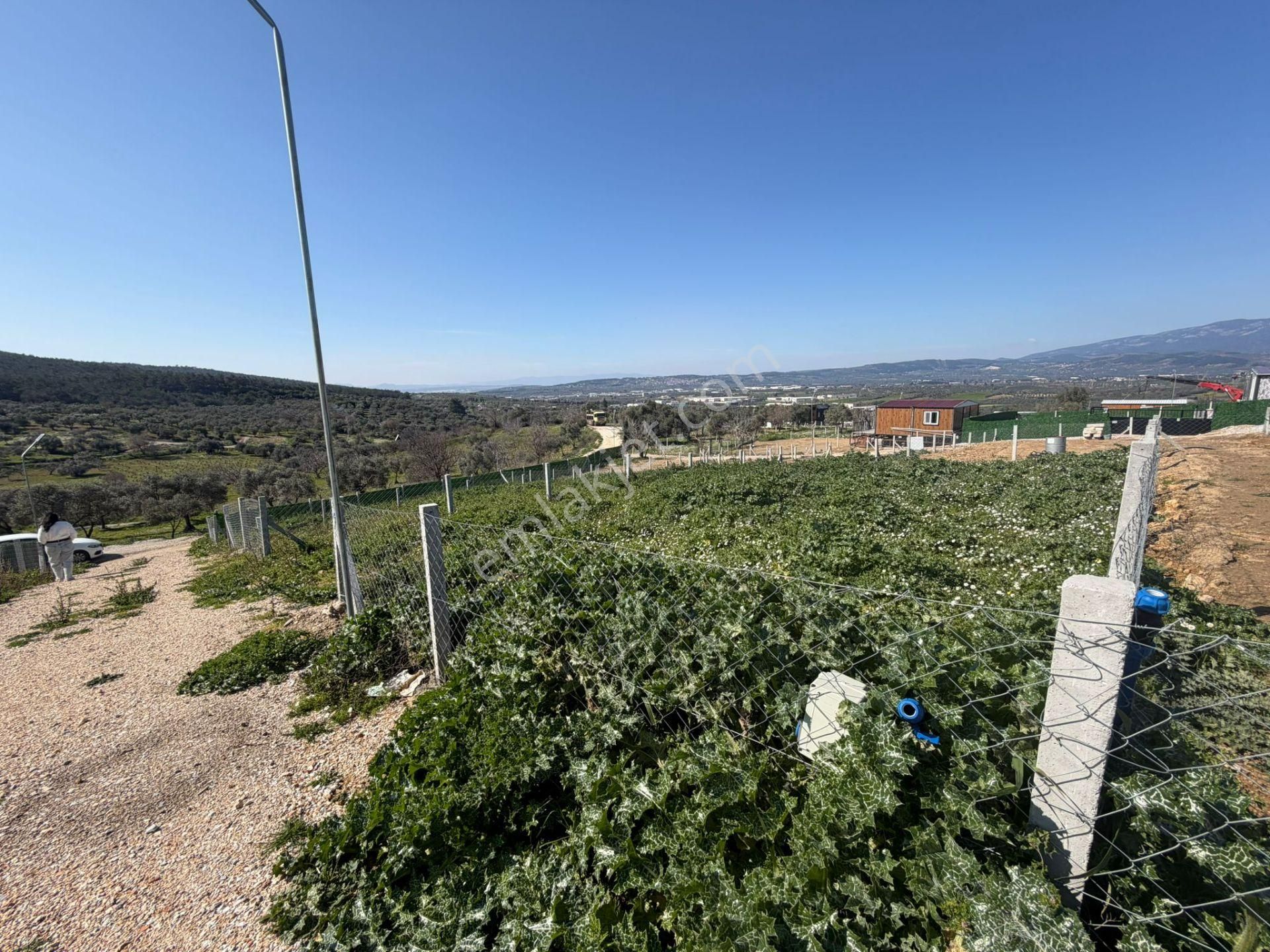 Çamlıca Yaşam Evlerinde Fırsat Tarla - Görsel 2