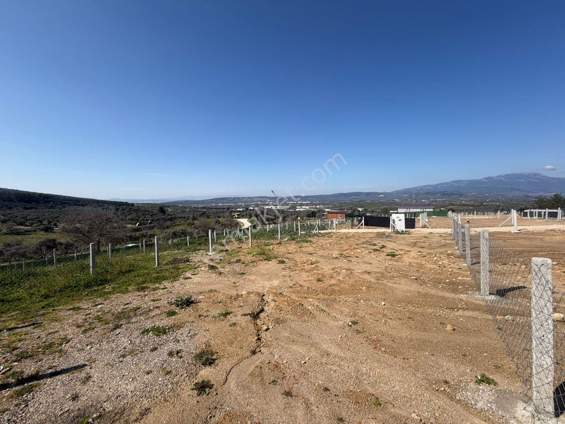 Çamlıca Yaşam Evlerinde Fırsat Tarla - Görsel 14