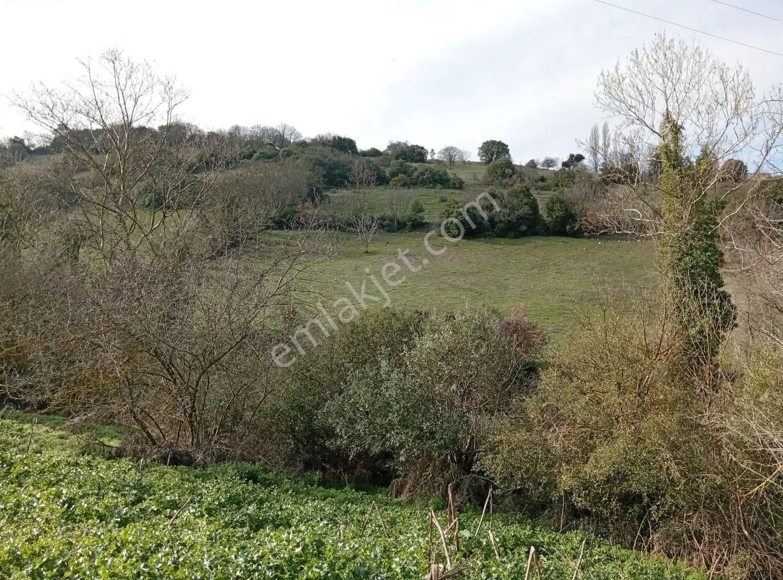 Biga Havdan Elektirik Yol Su Olan Hobi Bahçesi - Görsel 13