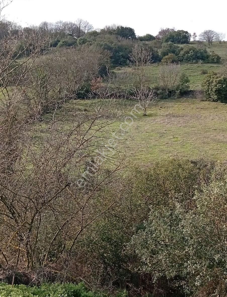 Biga Havdan Elektirik Yol Su Olan Hobi Bahçesi - Görsel 14