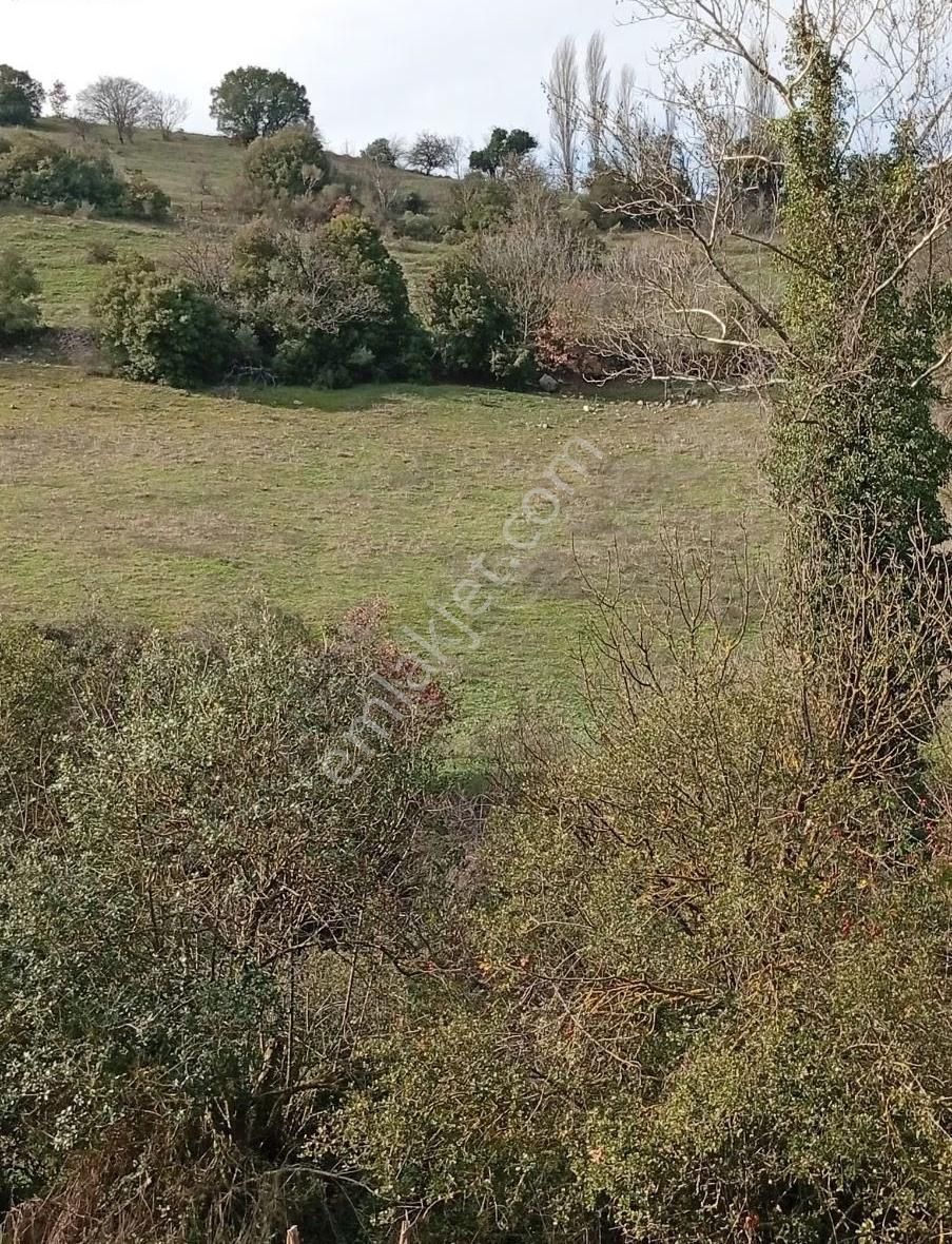 Biga Havdan Elektirik Yol Su Olan Hobi Bahçesi - Görsel 1