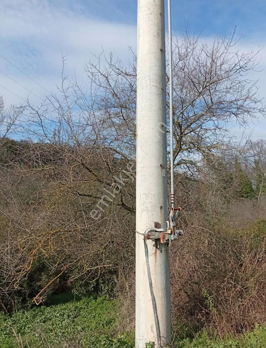 Biga Havdan Elektirik Yol Su Olan Hobi Bahçesi - Görsel 3