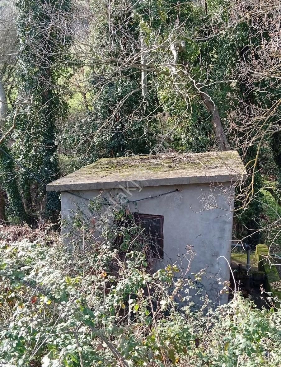 Biga Havdan Elektirik Yol Su Olan Hobi Bahçesi - Görsel 9