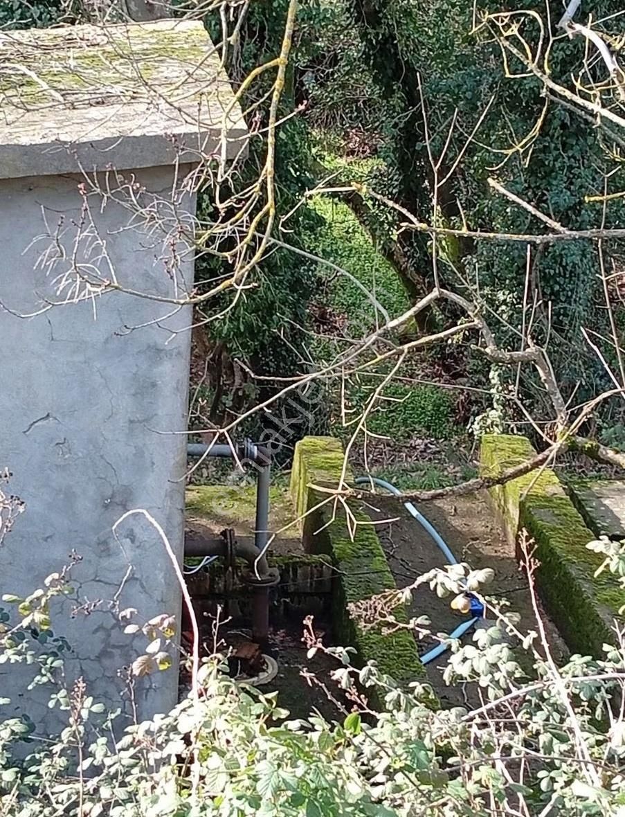 Biga Havdan Elektirik Yol Su Olan Hobi Bahçesi - Görsel 2