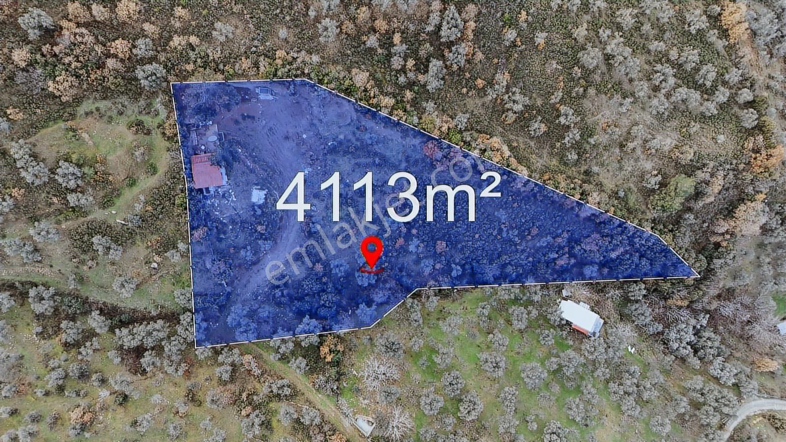 Kemalapaşa Bağyurdu Satılık 4.113 M² Tek Tapu Evi Olan Zeytinlik