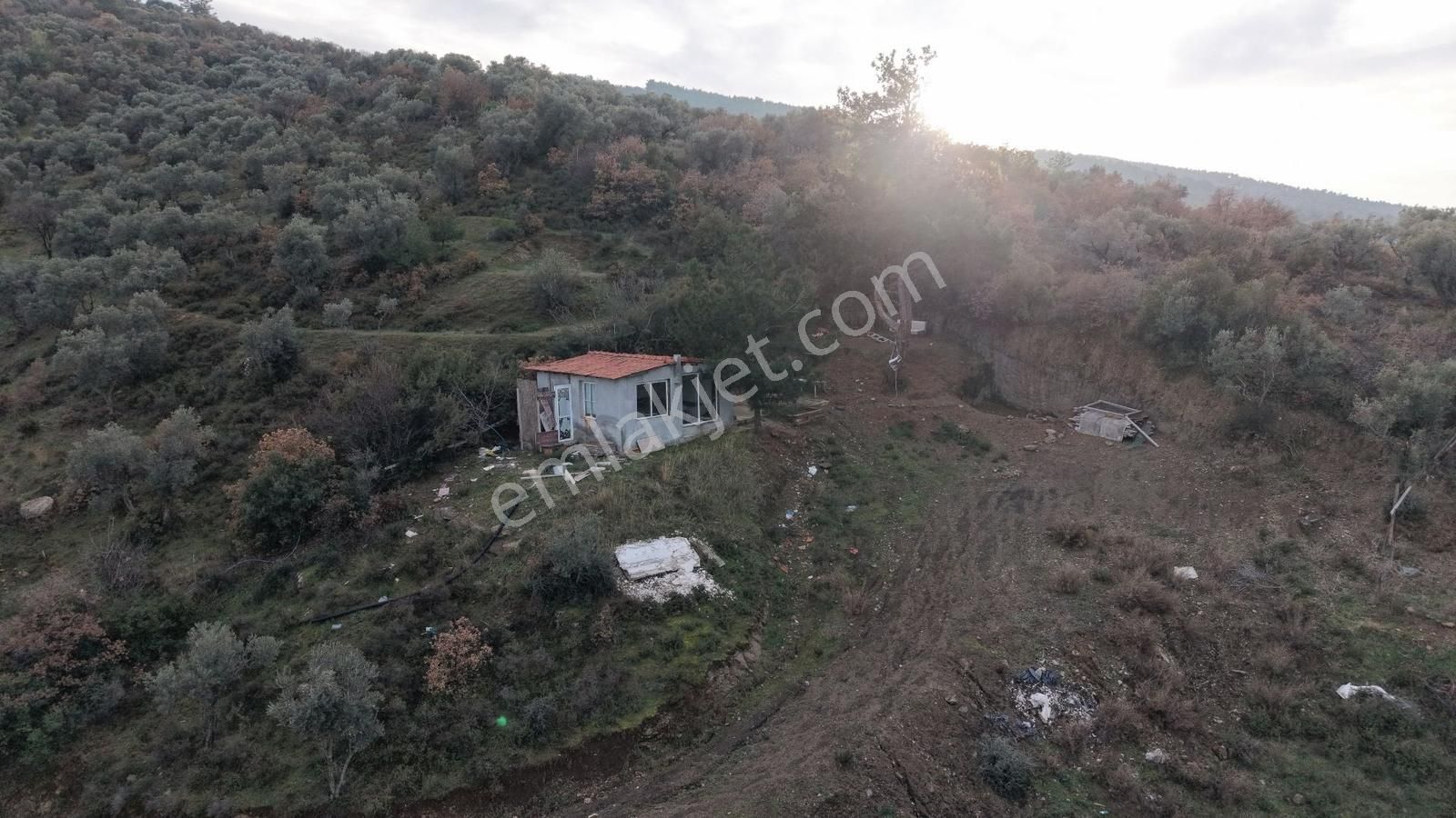 Kemalapaşa Bağyurdu Satılık 4.113 M² Tek Tapu Evi Olan Zeytinlik - Görsel 5