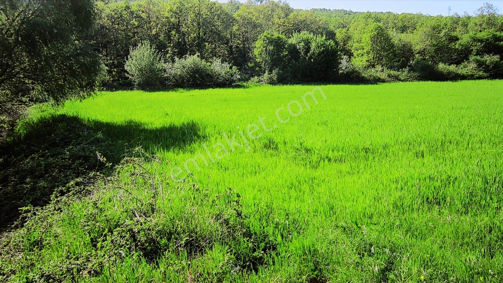 Kayapa'nın Üstü Unçukuru'nda Ana Yola 95 M. Cepheli 5720 M2 - Görsel 25