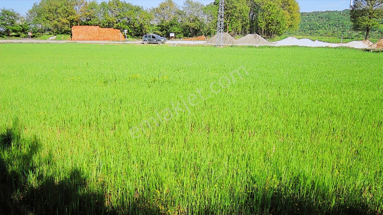 Kayapa'nın Üstü Unçukuru'nda Ana Yola 95 M. Cepheli 5720 M2 - Görsel 22