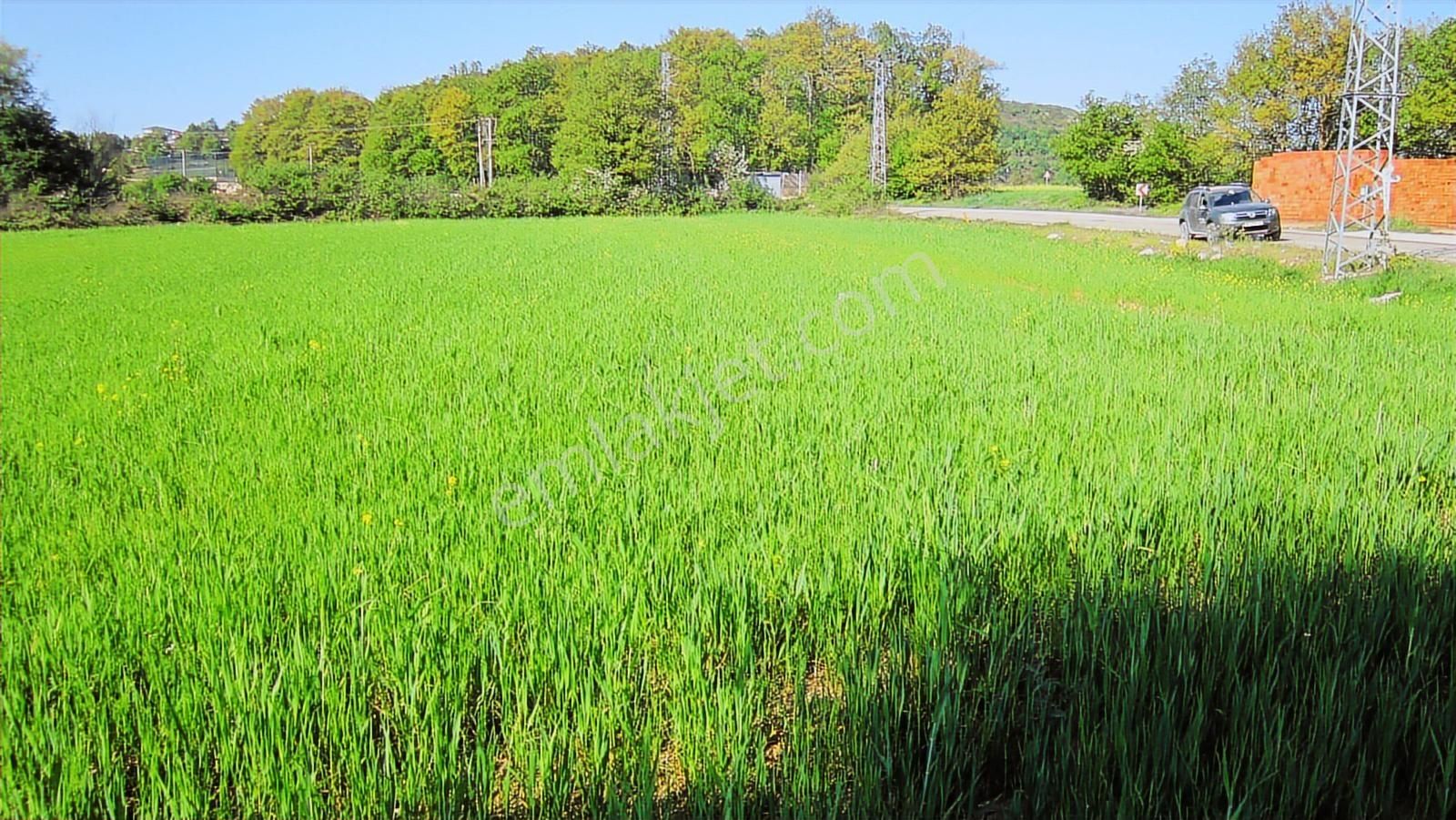 Kayapa'nın Üstü Unçukuru'nda Ana Yola 95 M. Cepheli 5720 M2 - Görsel 11