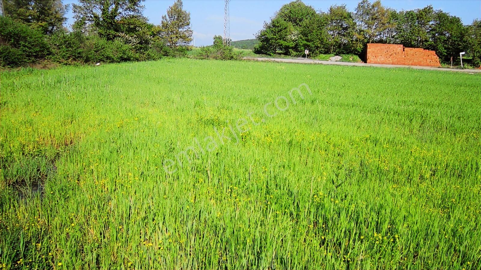 Kayapa'nın Üstü Unçukuru'nda Ana Yola 95 M. Cepheli 5720 M2 - Görsel 28