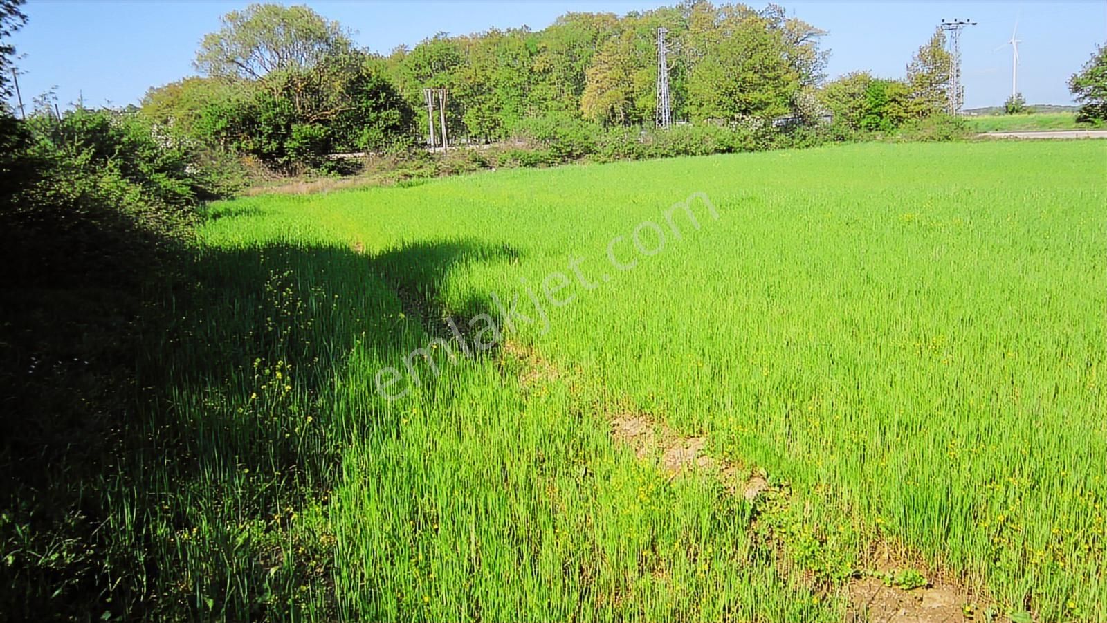 Kayapa'nın Üstü Unçukuru'nda Ana Yola 95 M. Cepheli 5720 M2 - Görsel 13