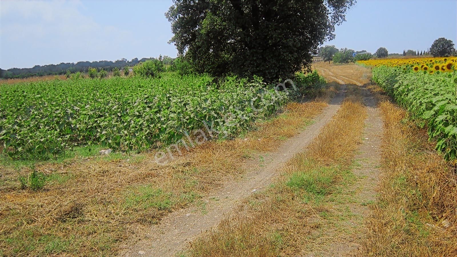 Görükle Kavşağına Ve İzmir Yoluna Yakın 1225 M2 Arazi - Görsel 35