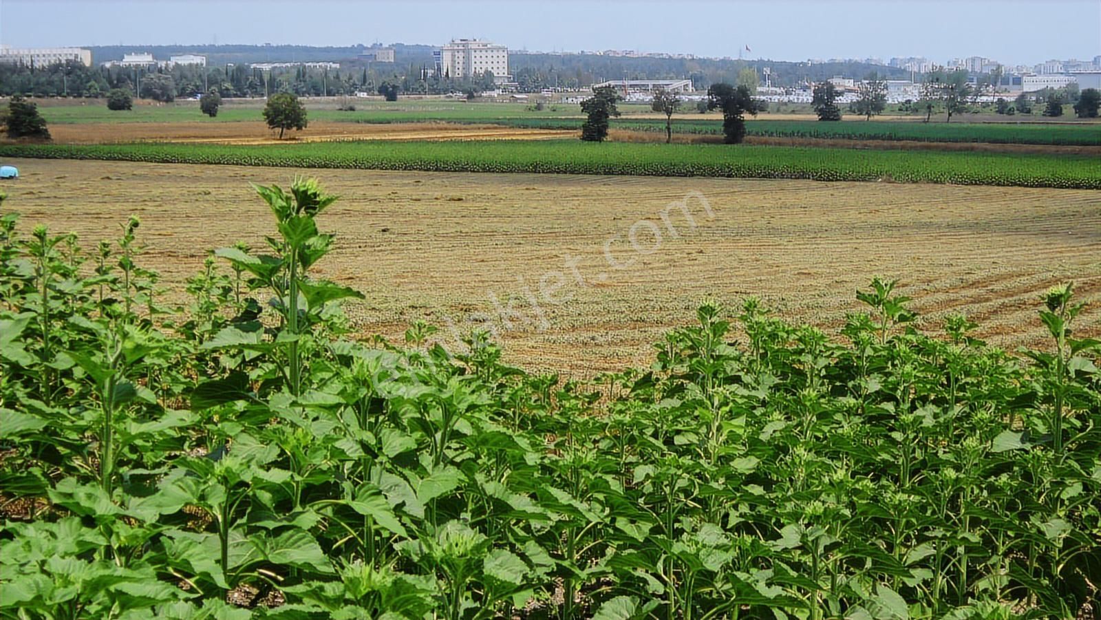 Görükle Kavşağına Ve İzmir Yoluna Yakın 1225 M2 Arazi - Görsel 8