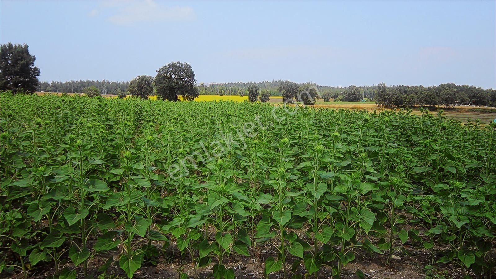 Görükle Kavşağına Ve İzmir Yoluna Yakın 1225 M2 Arazi - Görsel 23