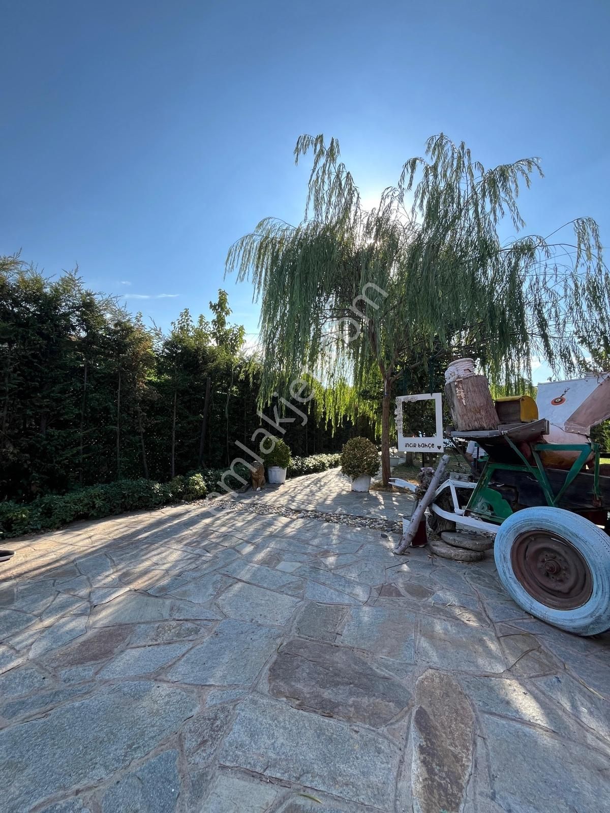 Remax Advantage'dan İncir Bahçe - Şehre Yakın Özel Hobi Bahçesi - Görsel 12