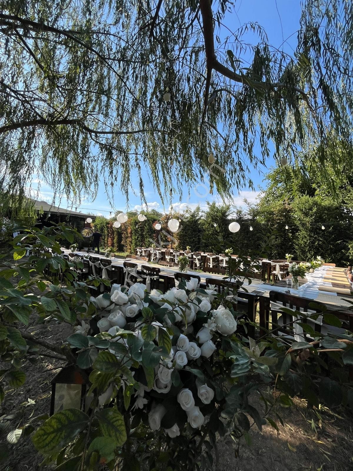 Remax Advantage'dan İncir Bahçe - Şehre Yakın Özel Hobi Bahçesi - Görsel 20