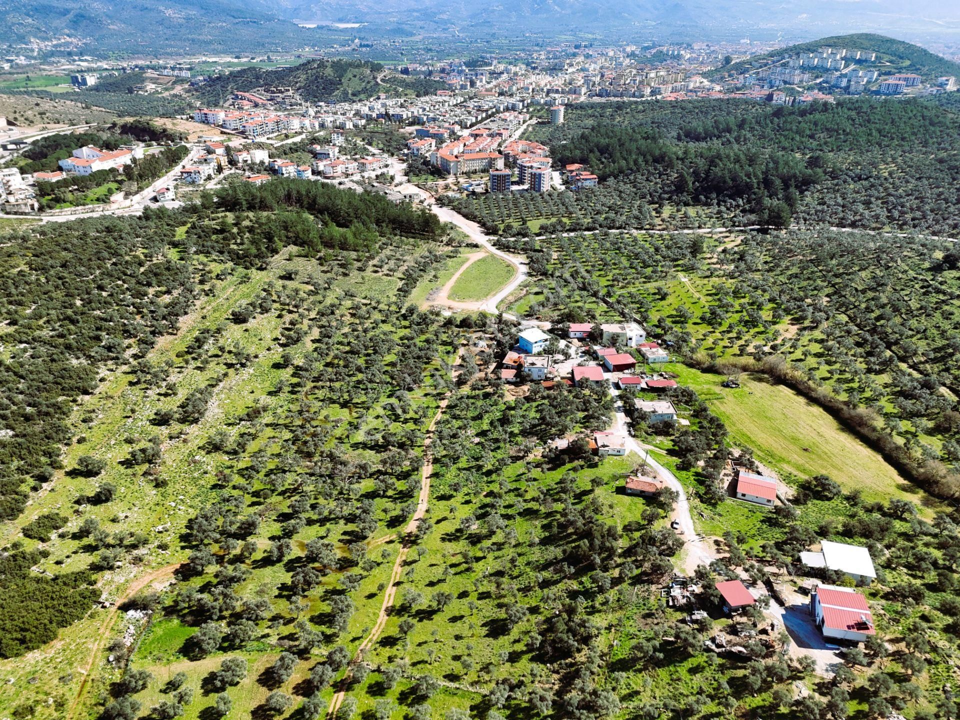 Milas Burgaz’da İmara Komşu 8.815 M² Yatırımlık Arazi - Görsel 6