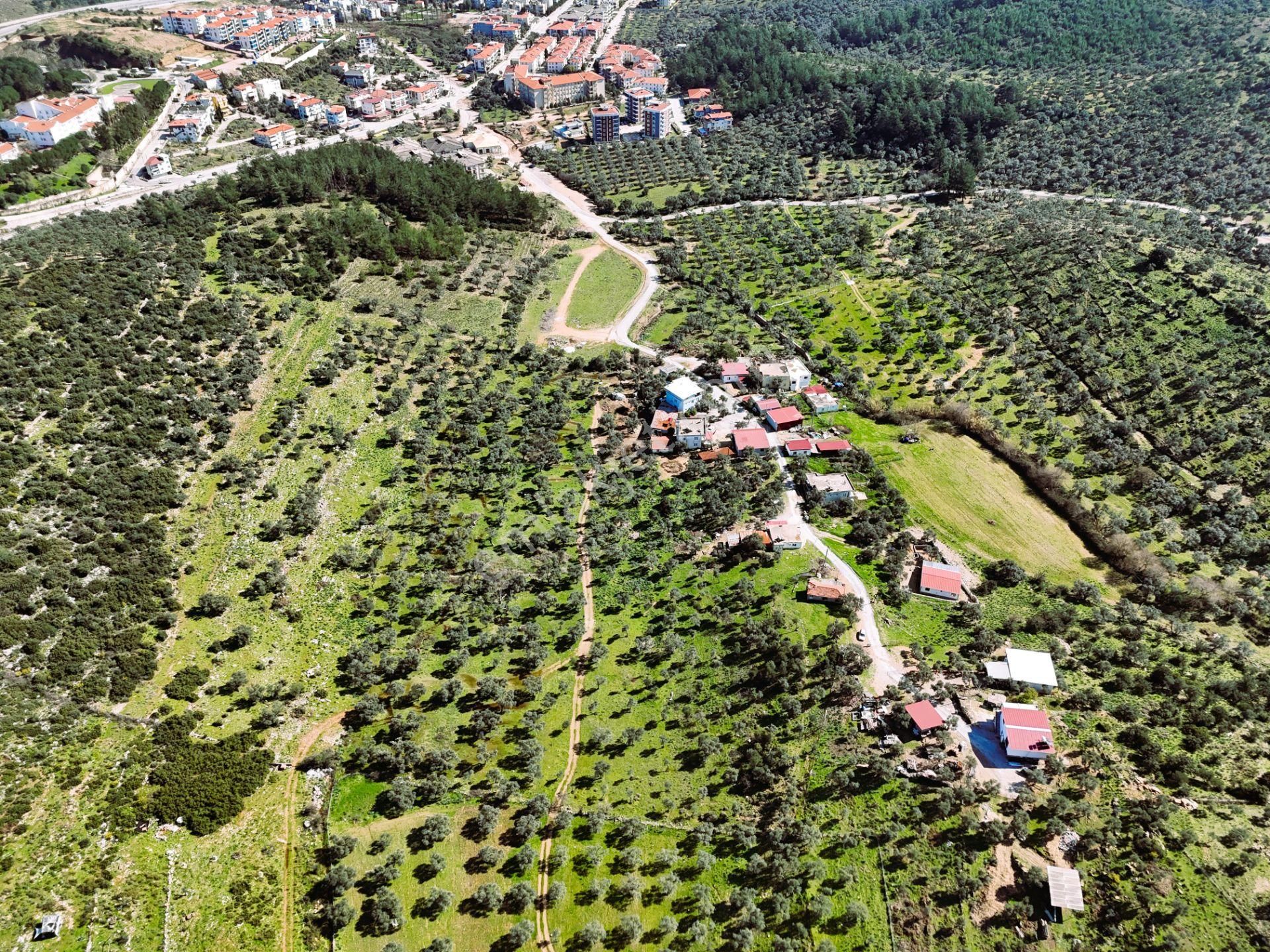 Milas Burgaz’da İmara Komşu 8.815 M² Yatırımlık Arazi - Görsel 7