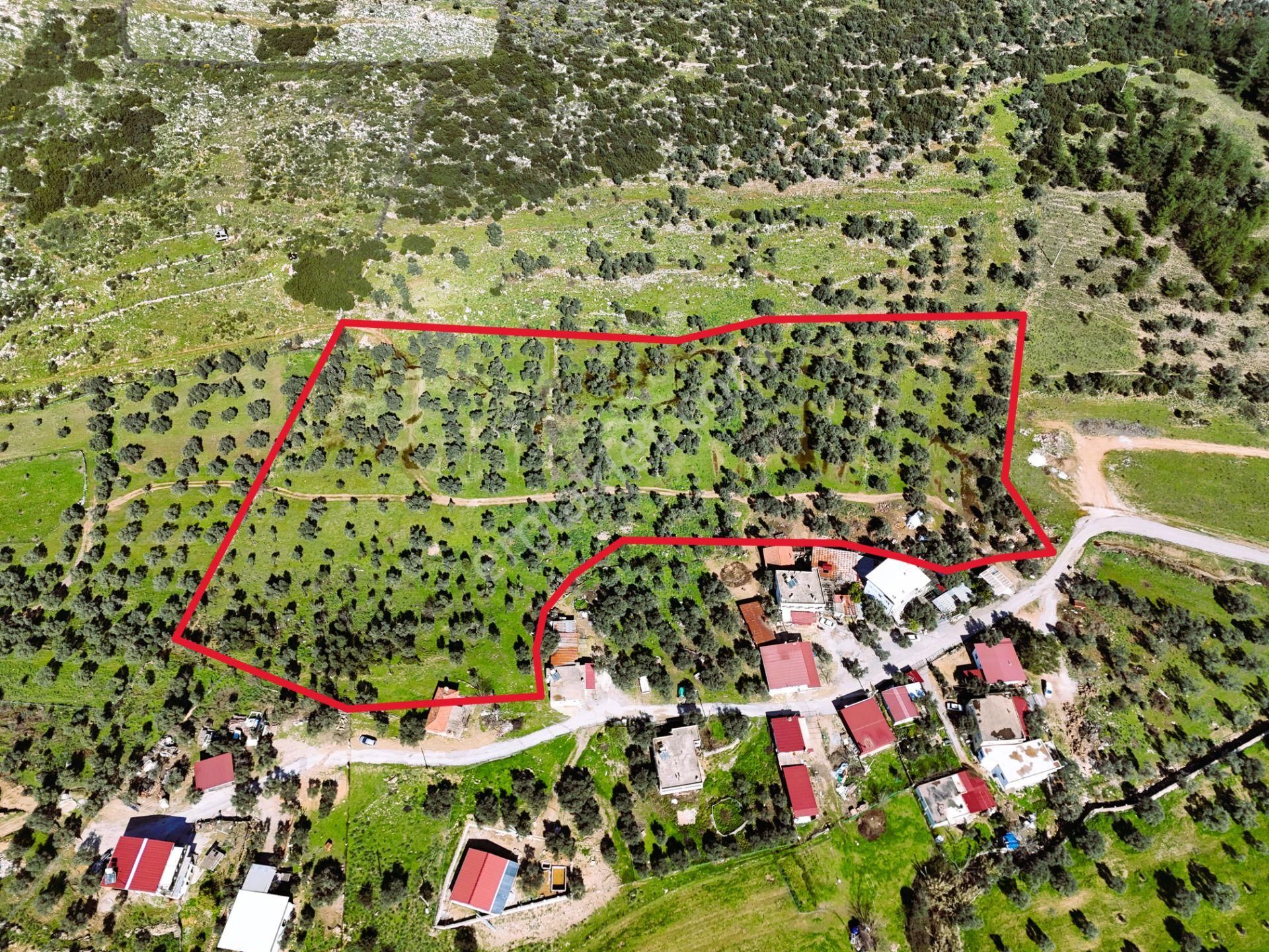 Milas Burgaz’da İmara Komşu 8.815 M² Yatırımlık Arazi