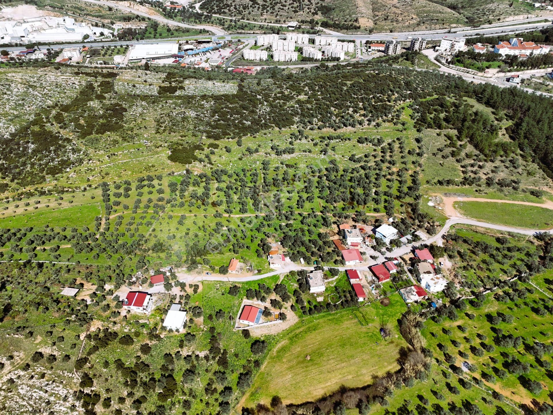 Milas Burgaz’da İmara Komşu 8.815 M² Yatırımlık Arazi - Görsel 9