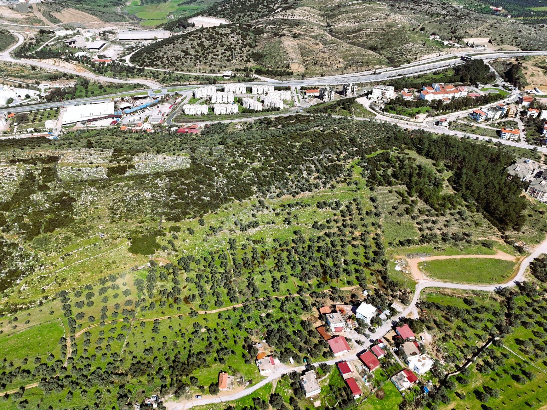 Milas Burgaz’da İmara Komşu 8.815 M² Yatırımlık Arazi - Görsel 12