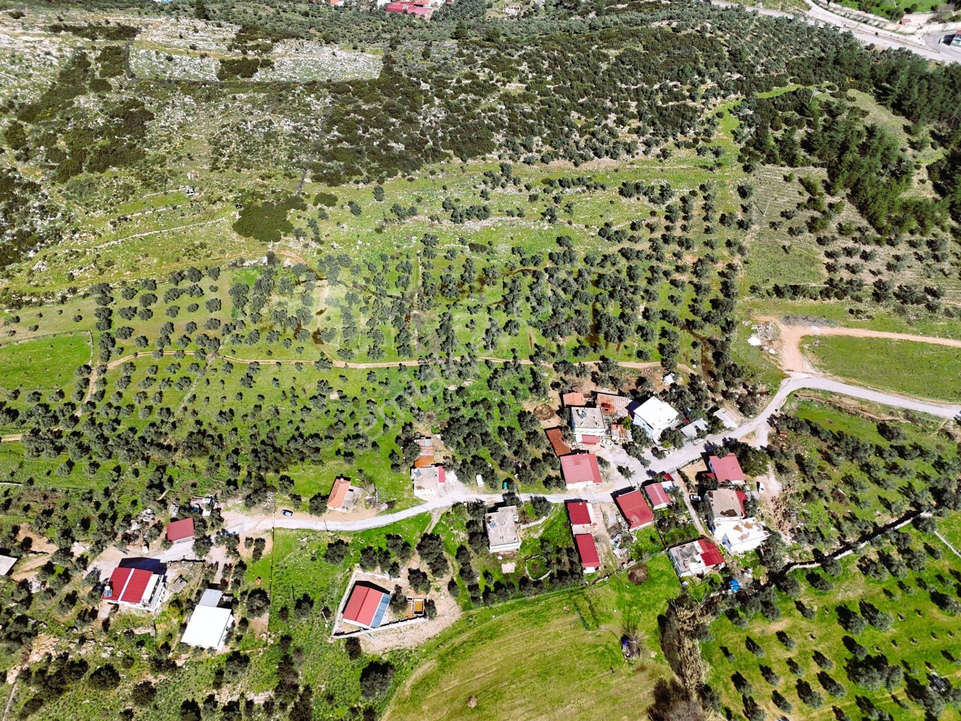 Milas Burgaz’da İmara Komşu 8.815 M² Yatırımlık Arazi - Görsel 10